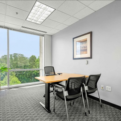 Serviced offices to let in Alpharetta (Georgia)