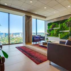 Executive suite to let in Los Angeles