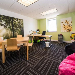 Office spaces in central Tampa
