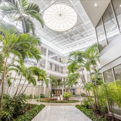 Office suites in central Miami