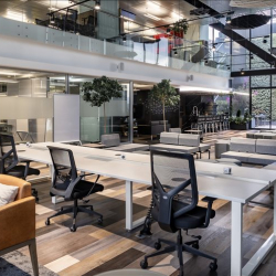 Office suites to let in Mexico City