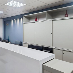 Serviced offices to let in Sao Paulo