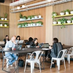 Serviced office in Mexico City